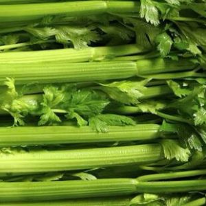 Celery Tray