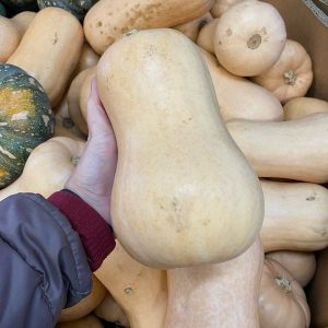 Whole Butternut Pumpkin **SPECIAL**